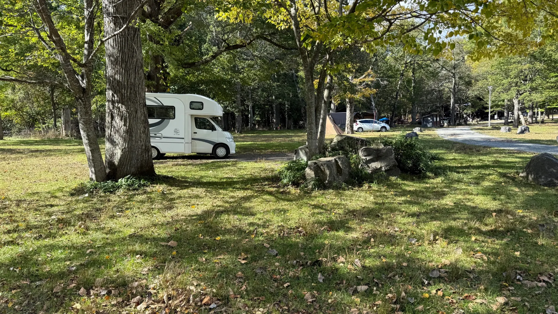 木々に囲まれた場所に停めたキャンピングカー